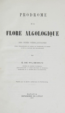 16491
<br/>
Prodôme de la flore algologique des Indes Néerlandaises (Indes Néerlandaises et parties des territoires de Bornéo et de la Papausie non Hollandaises) avec supplément et tableaux statisques.
<br/>
<em></em>